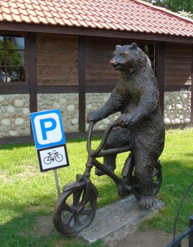 DSC02013.JPG