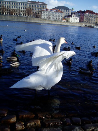 P1010150.JPG