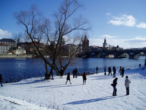 P1010152.JPG