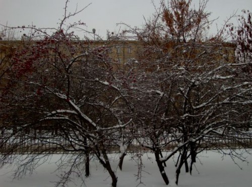 DSC03325.JPG