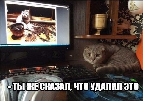 CkkOcYEXAAAsDIl.jpg