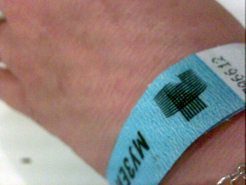 IMG0204A.jpg