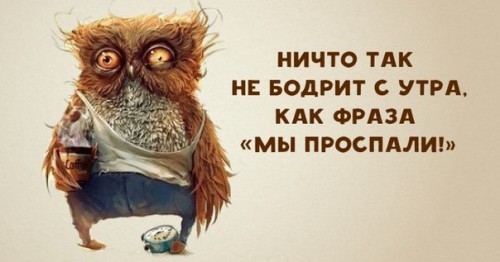 71zKzfFabW8.jpg