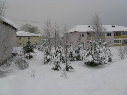 IMG_1097.jpg