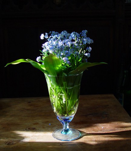 DSC00595_1.jpg