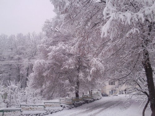 Украина, Закарпатье.
