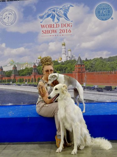 чм1.jpg