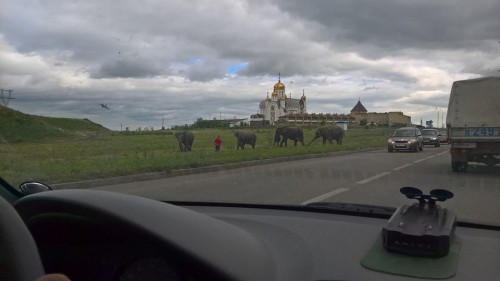 Импортзамещение