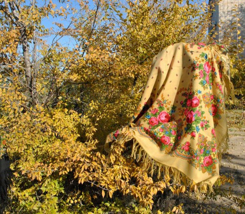 Летние сумерки.jpg