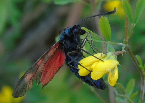 DSC02201.JPG