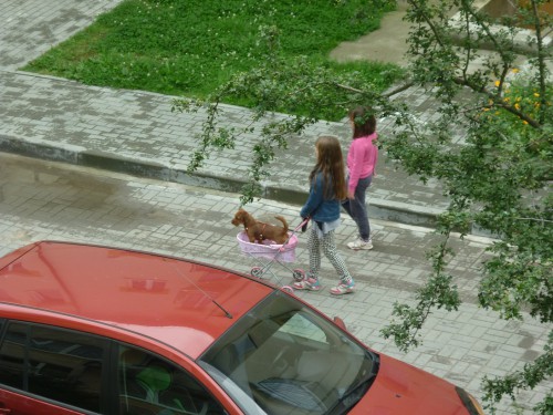P1200637+.jpg
