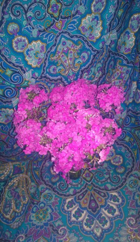 WP_20160805_019.jpg