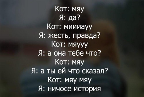 разговор с котом.jpg