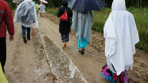 17.08-прообувь.jpg