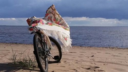 ... полет цветастый чайки Пелагеи над нашим северным Копакабана...