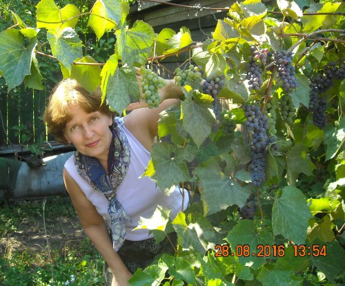 1180-15 И.Макаганчук