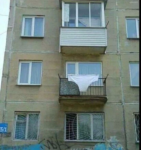 труселя.jpg