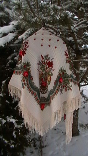 IMGA0206.JPG
