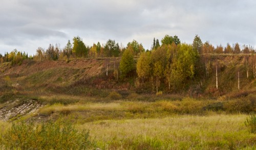 _N9O6531.jpg
