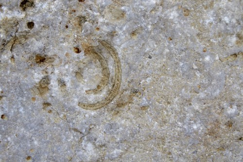 _N9O6440.jpg