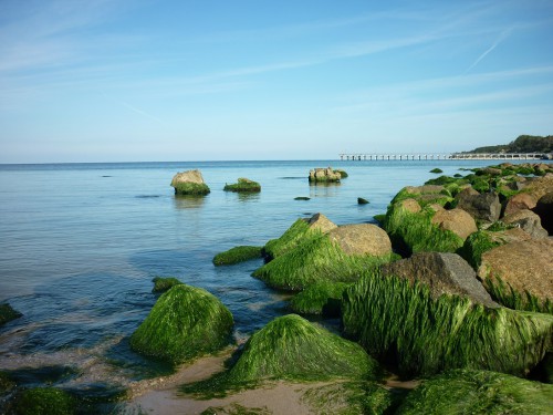 P1210320+.jpg