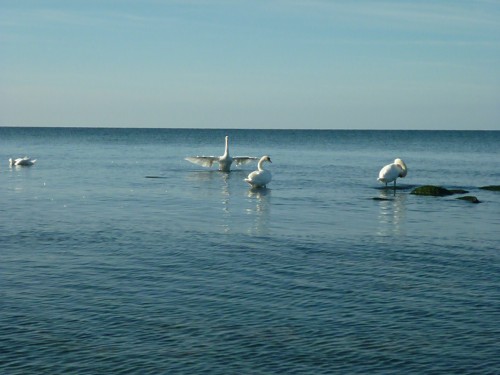 P1210421.JPG
