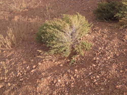 imageFPE479QH.jpg