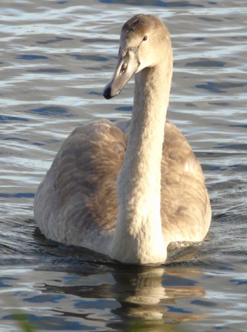 DSC03535.JPG