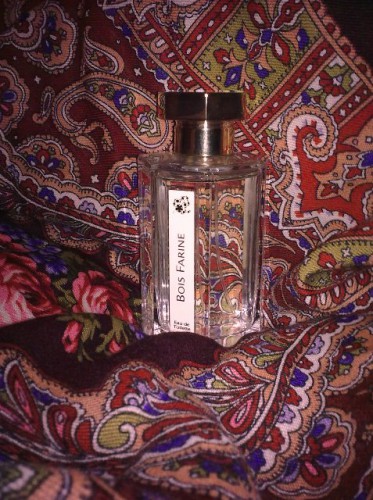 02022011310.jpg
