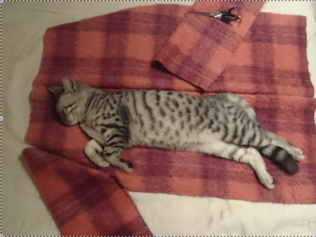 Снимок экрана 2016-11-11 в 21.41.22.png