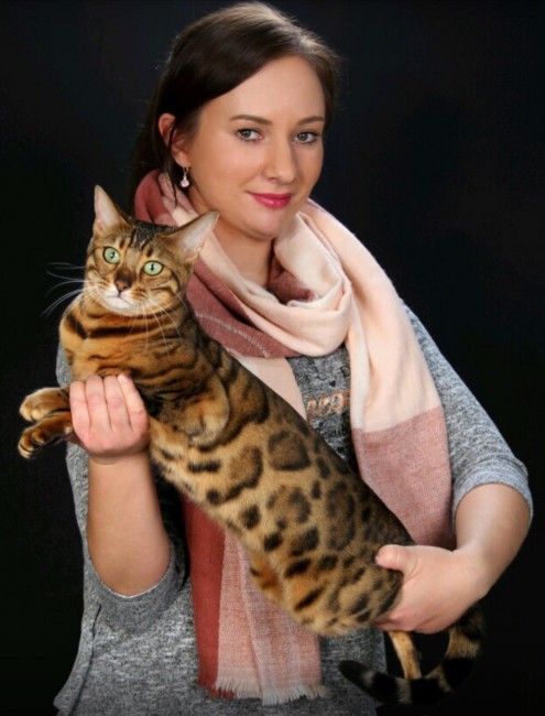 image.jpg