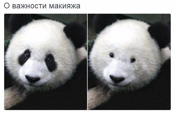 wQP9P0JTxto.jpg