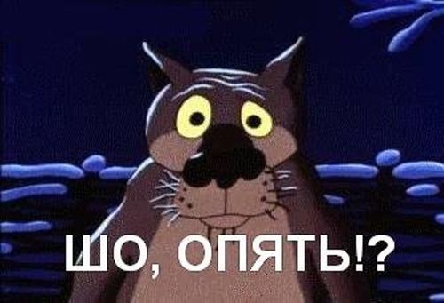 df02ce62dd.jpg