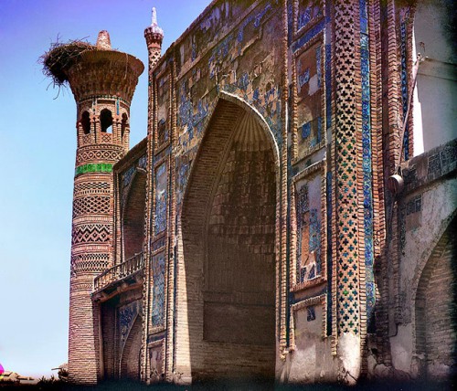 Storks_samarkand.jpg