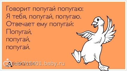 1959212_original.jpg