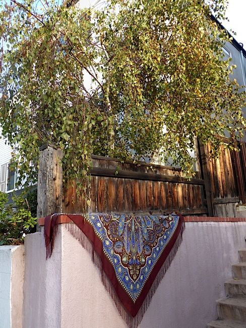 P1000115.jpg
