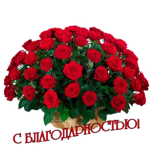 472026_original.png