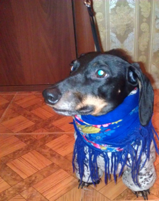 IMAG2749.jpg