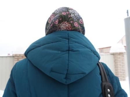 НСВ-15,вид сзади
