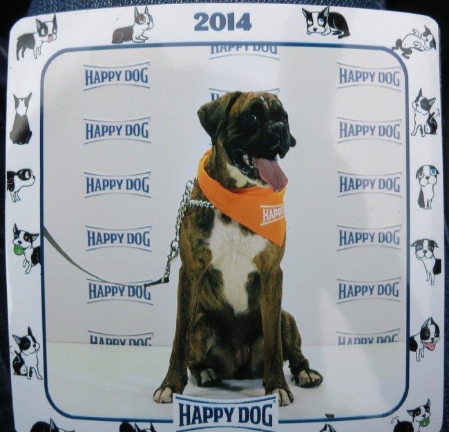 Тильда в платке &quot;HAPPY DOG&quot;, фото на магнитик