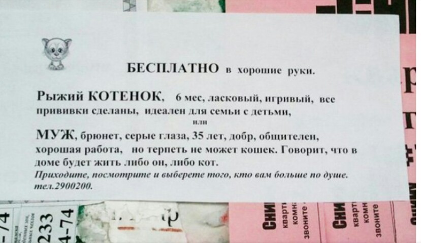 выбор.JPG