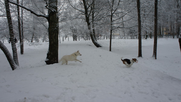 DSC07891.JPG