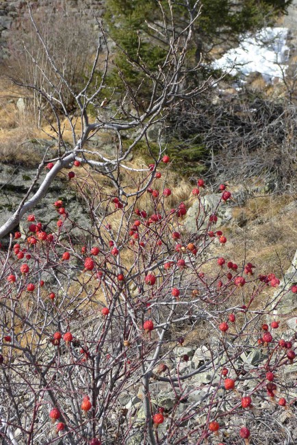 P1290820.JPG
