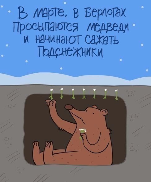 под.jpg