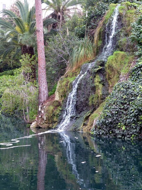 P1010339.jpg