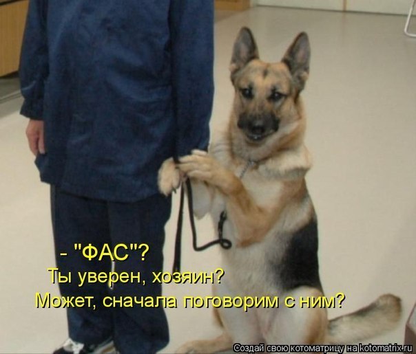 QnePGeOYtxY.jpg