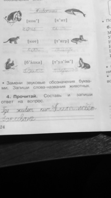 IMG_20170321_184704.JPG