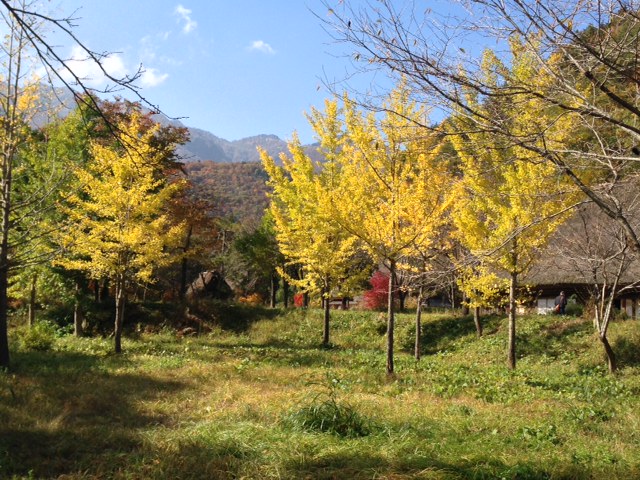 photo 10.JPG
