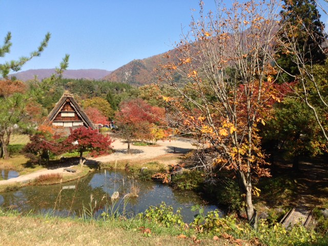 photo 11.JPG
