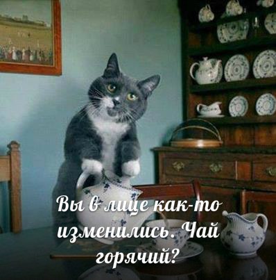 WWM7XRVy5Tk.jpg